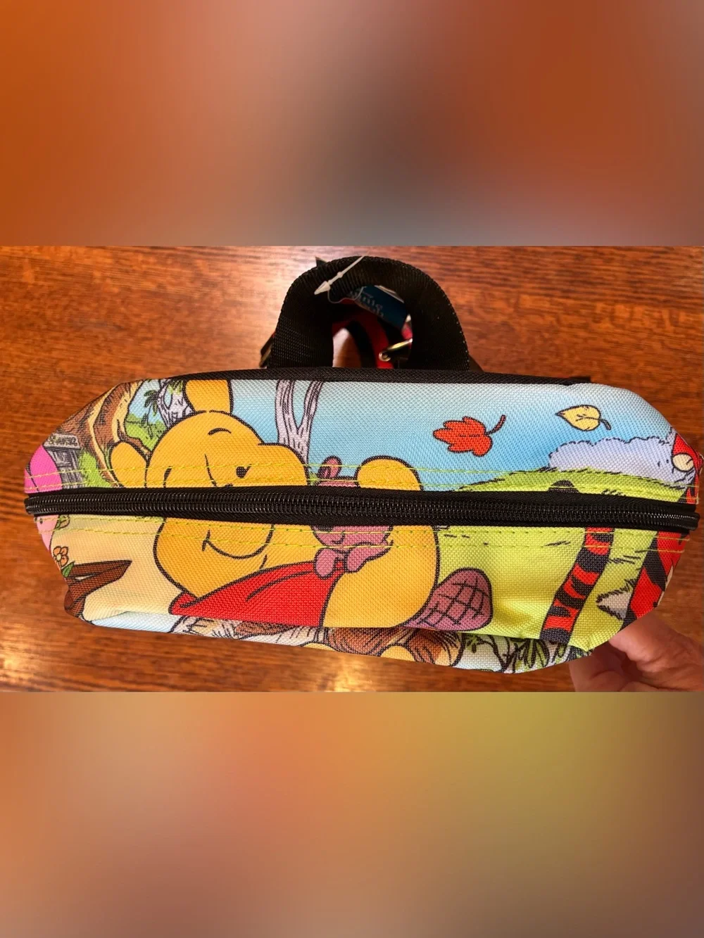 Disney Winnie the Pooh & Friends Backpack NWT Character Print by Ruz